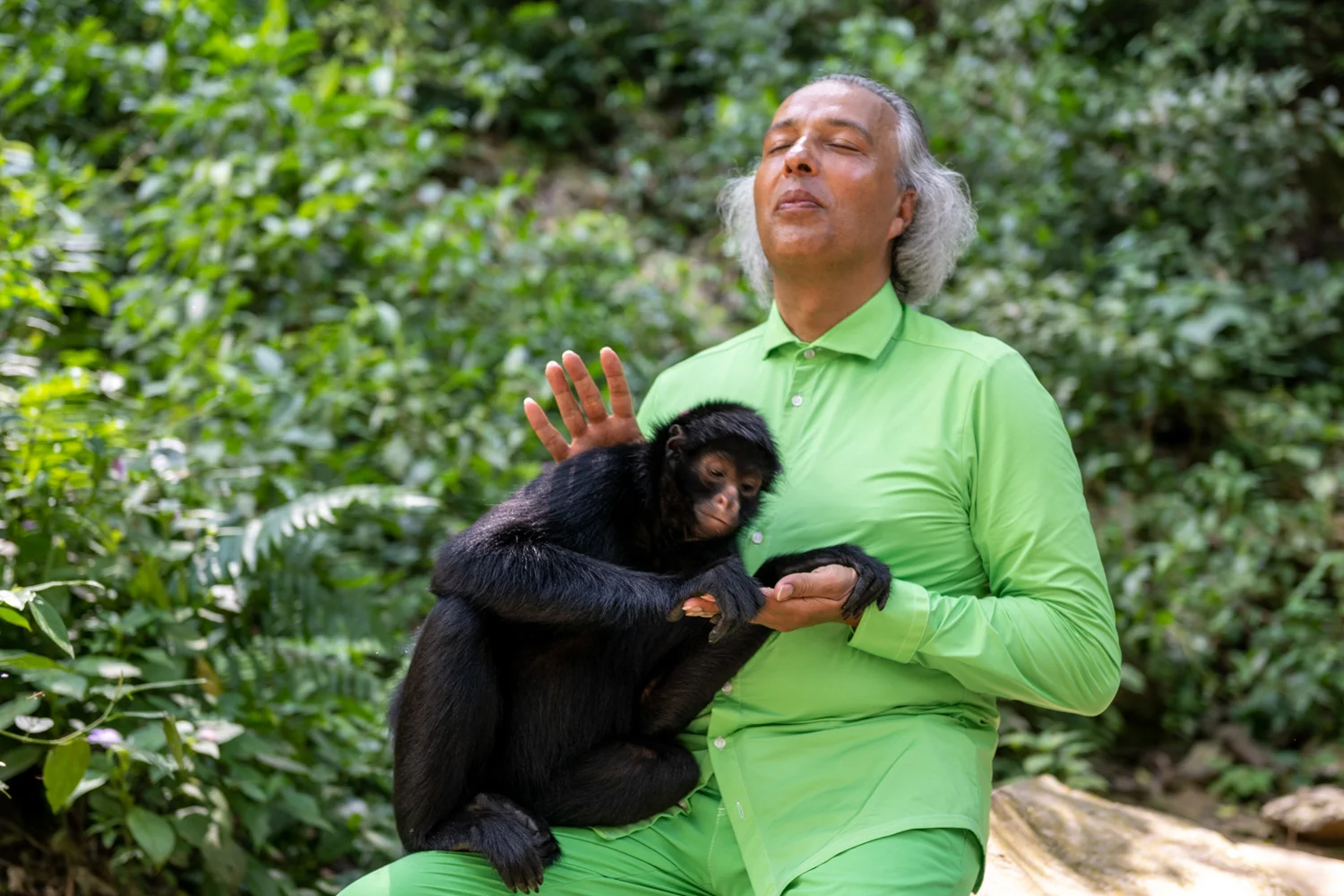 Worldhealing Tour Tiere von Michael Jaeger Fotograf Düsseldorf